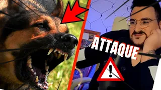 UN GARDIEN LÂCHE SON CHIEN SUR LUI ! TOP URBEX QUI ONT MAL TOURNÉ !