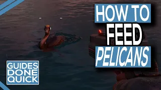 How To Feed Pelican’s In Far Cry 6