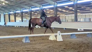 Jackaroo QRF USDF First Level Test 3 2023 - 72.08%