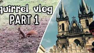 Schooltrip to Prague!? | Prague vlog #1