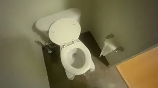 (Mid 2020 Video) [157] Unknown Open-Rim & Glacier Bay toilet at an apartment