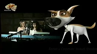 "Белка и Стрелка: Звёздные собаки" на канале СТС (15.12.2008)