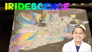 Floating Rainbow Iridescence Easy Kid Science Experiment you can try at home
