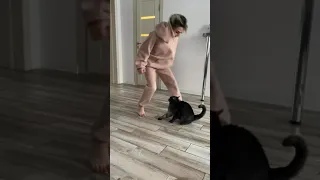 Кот нападает на хозяйку