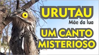 URUTAU | UM CANTO MISTERIOSO