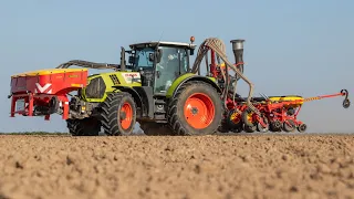 Planting corn | Claas Arion 660 + Väderstad Tempo V8 & FH 2200