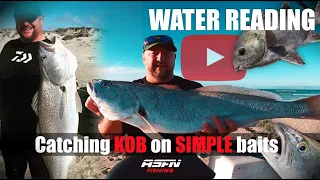 Catch kob on chokka-sardine Baits | Water Reading!!! | ASFN Rock & Surf