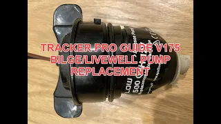 Tracker Pro Guide V175 Bilge/Livewell Pump Replacement