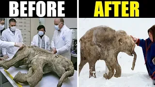 10 Extinct Animals Being Brought Back To Life
