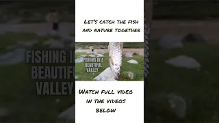 Is it big enough to cook ? 🦈       Catch the fish and nature together! Village fishing ! 🐠 #shorts