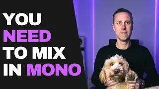 WHY YOU NEED TO MIX IN MONO! | Streaky.com