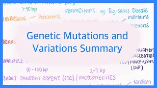 Genetic Mutations & Variations: Summary