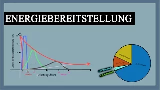 Energiebereitstellung im Muskel - Verlauf mit Erklärung + Grafiken | Know-how fürs Training!