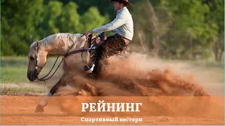 Спортивный вестерн. Рейнинг. Reining.