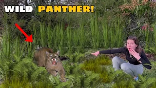 GIANT PANTHER ON THE LOOSE! DID WE CATCH IT?!