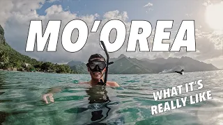 Island Life: A Moorea Travel Vlog | French Polynesia Adventure