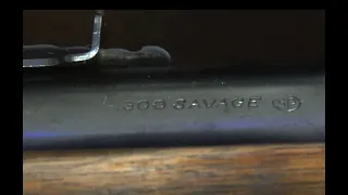 Professional Stock Repair - Savage 99