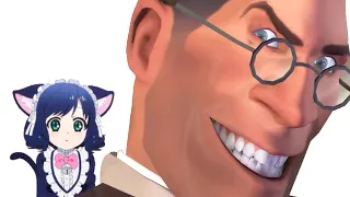 TF2 Medic takes in a Catgirl