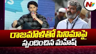 Mahesh Babu Reacts on Rajamouli Movie  | Ntv