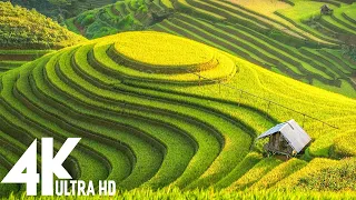 4K Video (Ultra HD) : Unbelievable Beauty - Relaxing Music Along With Beautiful Nature Videos #127