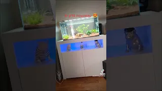 aquarium aquael 112litres