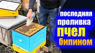 Лечение пчел бипином. Заключительная обработка пчел от клеща варроа