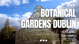 Botanical Gardens Dublin | Dublin | Ireland | Things to do in Dublin | Dublin Attractions