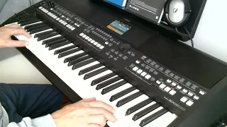 Capri Fischer (Die Flippers) cover by Henry, Yamaha PSR-SX600