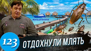 Мальдивы для бедняков / Туроператор из 90-х / На юриста вызвали Полицию и ГБР