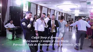 Culiță Sterp și formația - live nuntă - Cosmin&Ana-Maria - Petroșani - Octombrie 2021 -part 6(Hore)