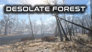 Desolate Forest [ Wind & Trees Ambience ] Fallout 4