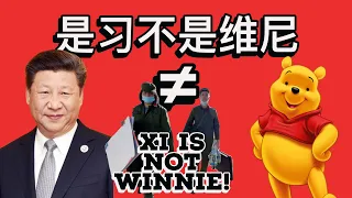 Xi Jinping Does Not Resemble Winnie the Pooh! Pewdiepie Lies!