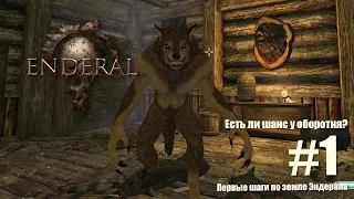 Enderal: Forgotten Stories (Skyrim на максималках) Прохождение за оборотня на максимальной сложности