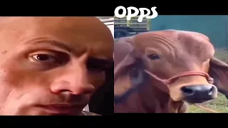 offensive memes that if ylyl v100 😆 | #shorts_ #memesdaily #ylyl