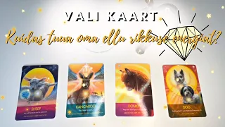 Kuidas luua oma ellu rikkuse energiat? 💎💫💸🧡 (VALI KAART)