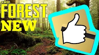 HOW TO FIND THE KEY CARD / The forest v0.53 -Fastest way!