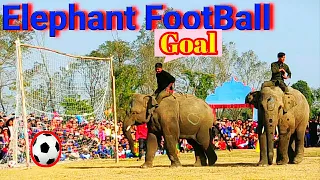 Elephant Football || Chitwan National Park || Visit Nepal 2020 ||sauraha