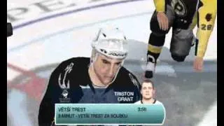 NHL 09 (PC) Fight