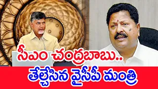 సీఎం చంద్రబాబు..తేల్చేసిన వైసీపీ మంత్రి..YCP Minister Shocking Comments | #SPT