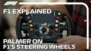 F1 Explained: The Steering Wheel