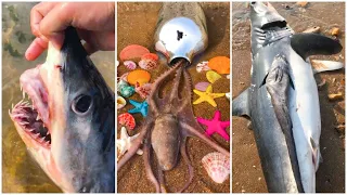 Awesome Fisherman Catching Seafood's 🦐🦀 Deep Sea Octopus (Catch Crab, Catch Fish) - Tik Tok P59