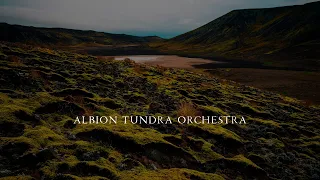 Albion V Tundra - Orchestra Walkthrough