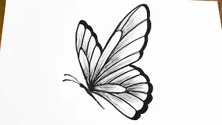 How to draw a butterfly easy step by step