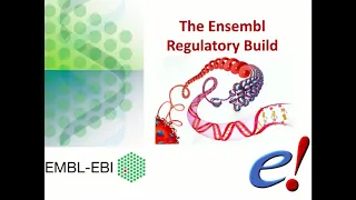 Virtual Workshop - The Ensembl Genome Browser - (2021): Webinar 5 - Regulation