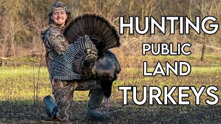 Public Land Turkey Hunting Off The ROOST!