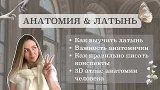 Как легко выучить Анатомию? | Советы по запоминанию, Латынь, 3Д атлас анатомии человека