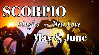 The Deep LOVE Connection you waited for! SCORPIO SINGLES ~ NEW LOVE MAY~JUNE 2024 #tarot #astrology