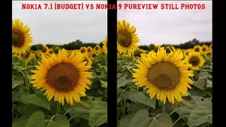 Nokia 7 1 vs Nokia 9 Pureview Still Photos