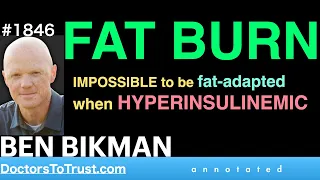 BEN BIKMAN |  ANXIETY:  FAT BURN:  IMPOSSIBLE to be fat-adapted when HYPERINSULINEMIC