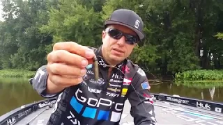 Brent Ehrler's Neko Rig for bass fishing - how to rig and fish it